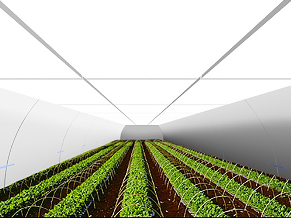 農業用ドーム 昇降式照明栽培イメージ